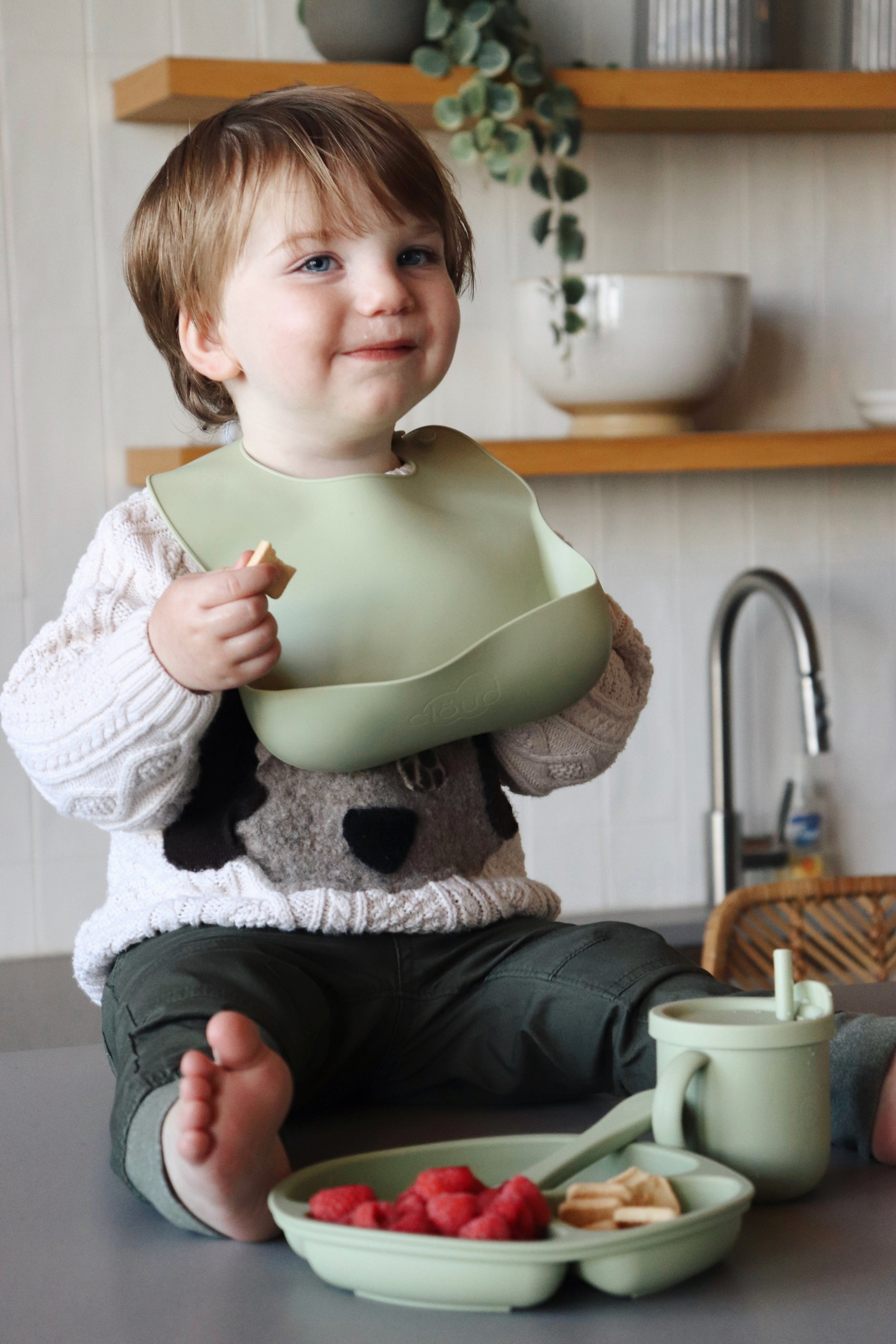 Silicone Baby Bib -  Green